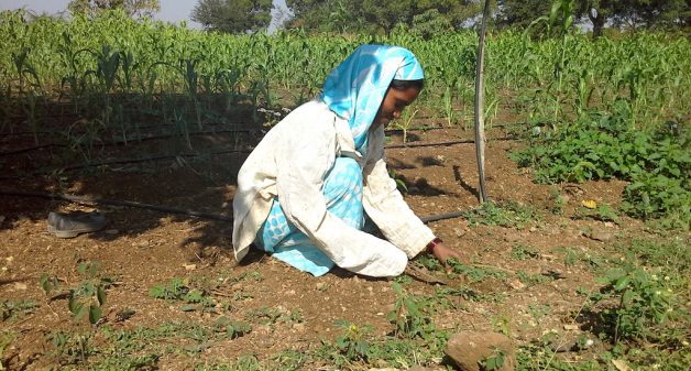 Farm labor Pratibha Vilas Kamthe has recently gone from cash salary to salary paid into her bank account. (Photo by Gouri Agtey Athale)