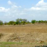 Marathwada suffers from a chronic shortage of water and rainfall is often scanty. (Photo by Harini Calamur)
