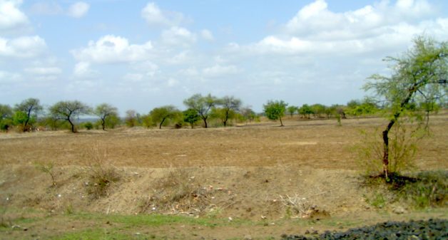 Marathwada suffers from a chronic shortage of water and rainfall is often scanty. (Photo by Harini Calamur)
