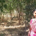 Villager Agni Devi at a papaya garden that is a part of the Hesatu forest. (Photo by Chhandosree)