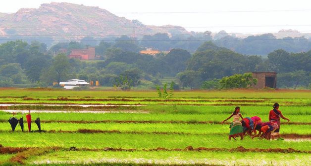 Tribal communities in Jharkhand fear losing their land. (Photo credit: Wasim Raja)