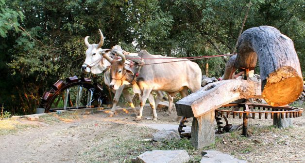 Reaching irrigated water to farms remains a challenge in India. (Photo by Nagarjun Kendukuru)