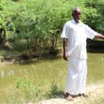 Balakrishnan Marimuthu dug two farm ponds, with which he grew coconuts to offset paddy loss this year. (Photo by Sharada Balasubramanian)