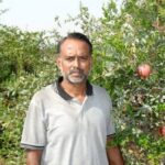 Vishwajit Akre of Ranwadi village at his pomegranate farm near Wardha. (Photo by Hiren Kumar Bose)