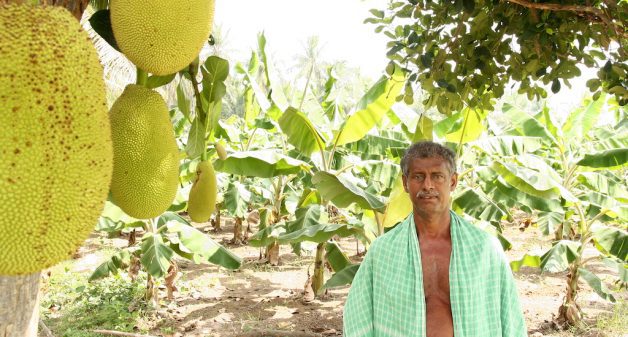 Farmer Jesuraj of Pudukottai in his farm where he practises agroforestry. (Photo by R. Samuel)