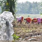 A small pump irrigating an onion farm. (Photo by Hamish John Appleby / IWMI)