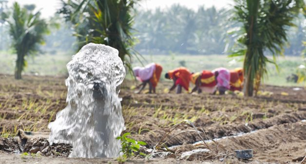 A small pump irrigating an onion farm. (Photo by Hamish John Appleby / IWMI)