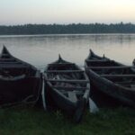 Kerala is a land of water bodies. A state government mission now aims at conserving, cleaning and clearing them up to store water and to aid water transport that the state is known for. The image shows the lagoon of Kadinamkulam in Thiruvananthapuram. (Photo by Climatalk)