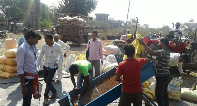 Procurement of produce is in progress at a market yard. (Photo courtesy MAHAPFC)