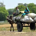 For poor rural people living on the margins, the system of direct benefit transfer show mixed results.