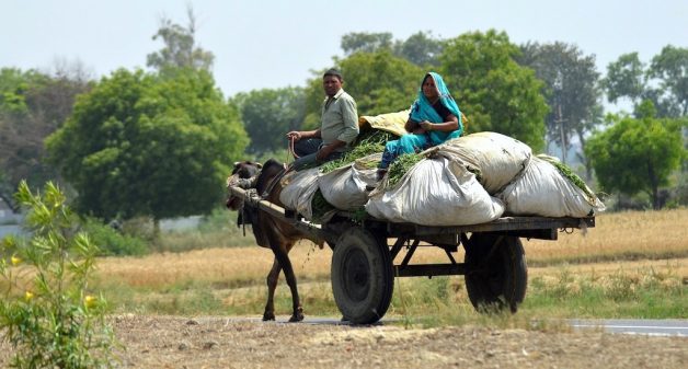 For poor rural people living on the margins, the system of direct benefit transfer show mixed results.