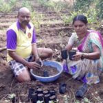 Sangita Mhatre and her husband Shashikant in their jasmine nursery, preparing saplings to be sold to other farmers. (Photo by BAIF)