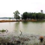 The flooding led to a watery grave for the crops. (Photo by Rajiv Palit)