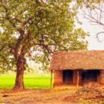 Parliamentarians adopting villages in their constituencies for holistic development is yet to show significant results. (Photo by Rajeev)