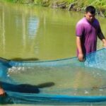 Producing fish seeds provides a sustainable livelihood to unemployed youth in Assam. (Photo by Abdul Mannan Choudhury)