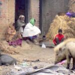 The Musahar community is still living in squalor across villages in Bihar. (Photo by Mohd Imran Khan)