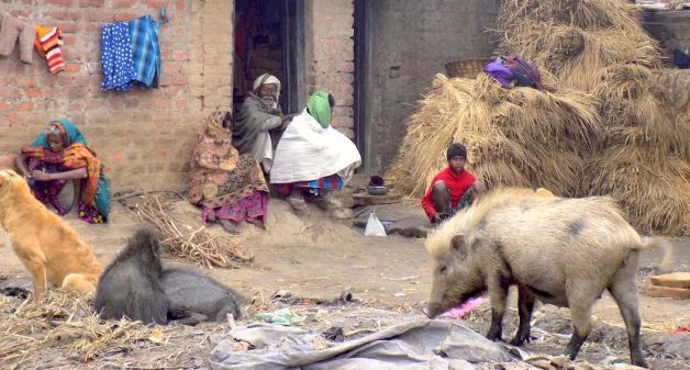 The Musahar community is still living in squalor across villages in Bihar. (Photo by Mohd Imran Khan)