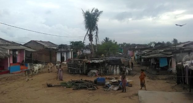 The fishing hamlet of Golabandha was severely damaged after Cyclone Phailin. (Photo by M. Basudev Rao)