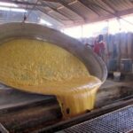 The entire family is involved in the slow, laborious process of making jaggery. (Photo by Chithra Ajith)