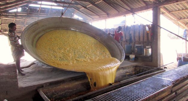 The entire family is involved in the slow, laborious process of making jaggery. (Photo by Chithra Ajith)