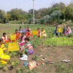 Women farmers in Solapur are field-trained in growing a wide variety of crops. (Photo by Swayam Shikshan Prayog)