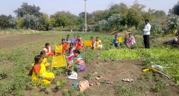 Women farmers in Solapur are field-trained in growing a wide variety of crops. (Photo by Swayam Shikshan Prayog)