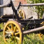 Solutions like improved bullock carts do not cut any ice with the poor any more. (Photo by Pixabay)