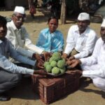 Farmers in Pimpari Dumala, with a sample of the custard apple they harvested. (Photo by Hiren Kumar Bose)