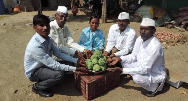 Farmers in Pimpari Dumala, with a sample of the custard apple they harvested. (Photo by Hiren Kumar Bose)