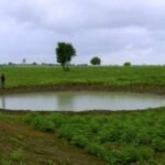A water harvesting structure in Vidisha district of Madhya Pradesh helps farmers to increase the local farm moisture regime for both the summer and winter crops.