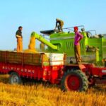 The use of harvester-cum-thresher machines has led to stubble burning in farms, which has worsened the problem of air pollution in India. (Photo by Vivian Fernandes)