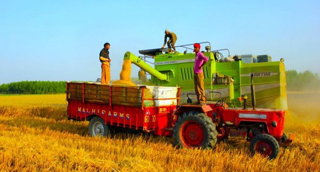The use of harvester-cum-thresher machines has led to stubble burning in farms, which has worsened the problem of air pollution in India. (Photo by Vivian Fernandes)