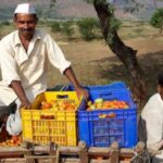 Farmers near Nashik in Maharashtra on their way to the market with their tomato harvest. (Photo by Michael Foley)
