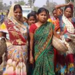 Women are becoming frontline farmers in Saran, fighting financial and food security by growing vegetables. (Photo by Mohd Imran Khan)