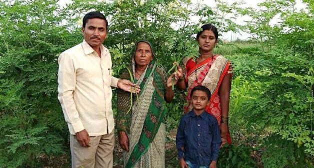 Appa Karmakar of Angar village in Solapur has tasted success by cultivating drumsticks. (Photo by Hiren Kumar Bose)