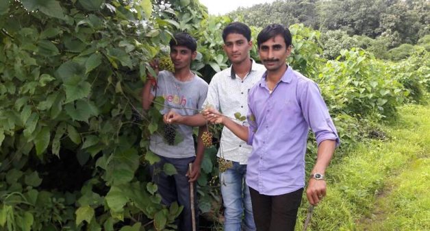 Youth from Poi village in the forest they conserved along with other villagers. (Photo by Hiren Kumar Bose)