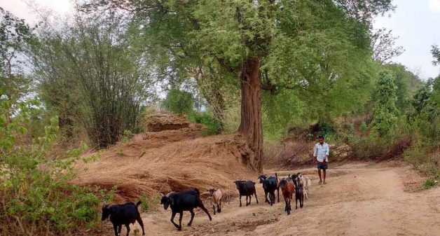Munda tribes have transitioned from a self-sufficient community to a group seeking new opportunities. (Photo by Tripta Sharma)