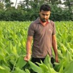 Vivek Ghumade plans to increase his turmeric acreage, as the GI tag of Waigaon turmeric is expected to increase demand (Photo by Hiren Kumar Bose)