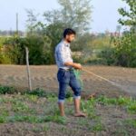 A young Kashmiri farmer working in his field (Photo by Athar Parvaiz)