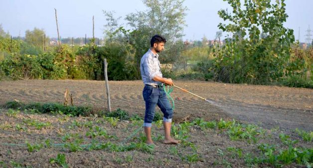 A young Kashmiri farmer working in his field (Photo by Athar Parvaiz)