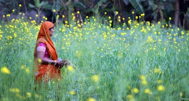 Training local women to become agripreneurs pay rich dividends to smallholder farmers (Photo by C. Zanzanaini)