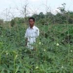 Kamal Saikia, who practises organic farming, says he finds the tips offered by Dakor Boson quite useful (Photo by Azera Parveen Rahman)