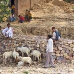 It is not unusual to find groups of unemployed men in villages across India (Photo by Michael Foley)