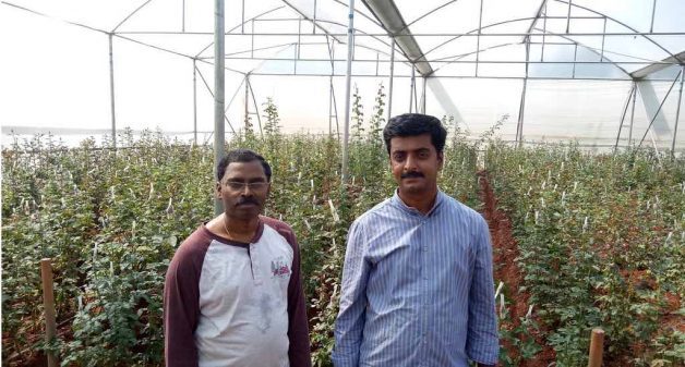 Educated youth such as Srinivasan and Sudeesh have taken up hi-tech farming, cultivating crops under controlled conditions using Israeli technology (Photo by George Rajashekaran)