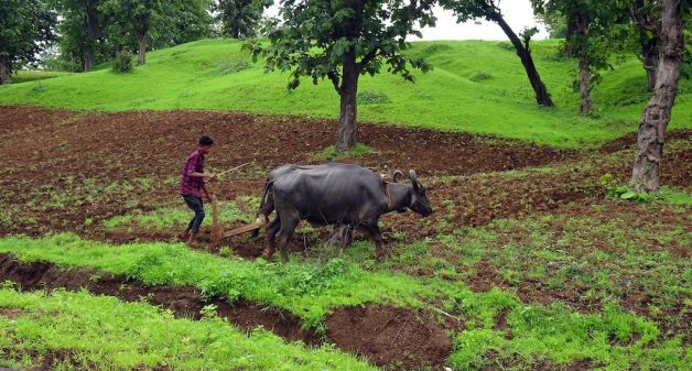 Ending India’s farm crisis needs a complete change in mindset (Photo by Bishnu Sarangi)