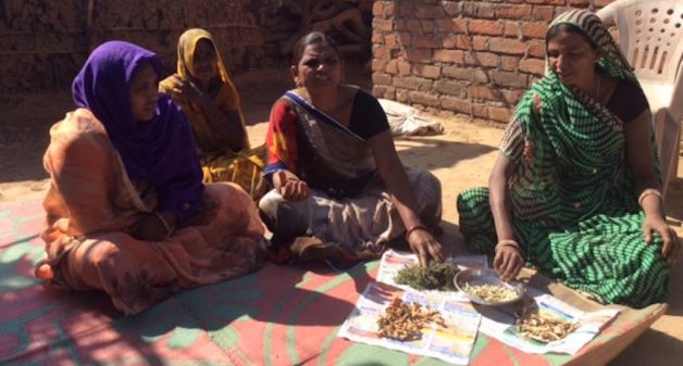 Women farmers of Aamlipara village of Banswara district in Rajasthan showcase dried seeds of traditional vegetables (Photo by Rakhee Roytalukdar)