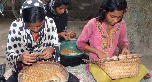 Villagers in Murshidabad prefer girls as they can start rolling beedis at a very young age, adding to the family income (Photo by Gurvinder Singh)