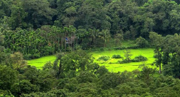 Tribal people are no longer sure of living in their traditional habitations (Photo by Bishnu Sarangi)