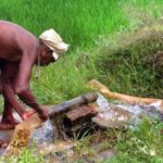 Most smallholder and marginal farmers in Bihar cannot afford the additional cost of irrigating their fields (Photo by Santosh Singh)