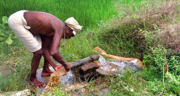 Most smallholder and marginal farmers in Bihar cannot afford the additional cost of irrigating their fields (Photo by Santosh Singh)